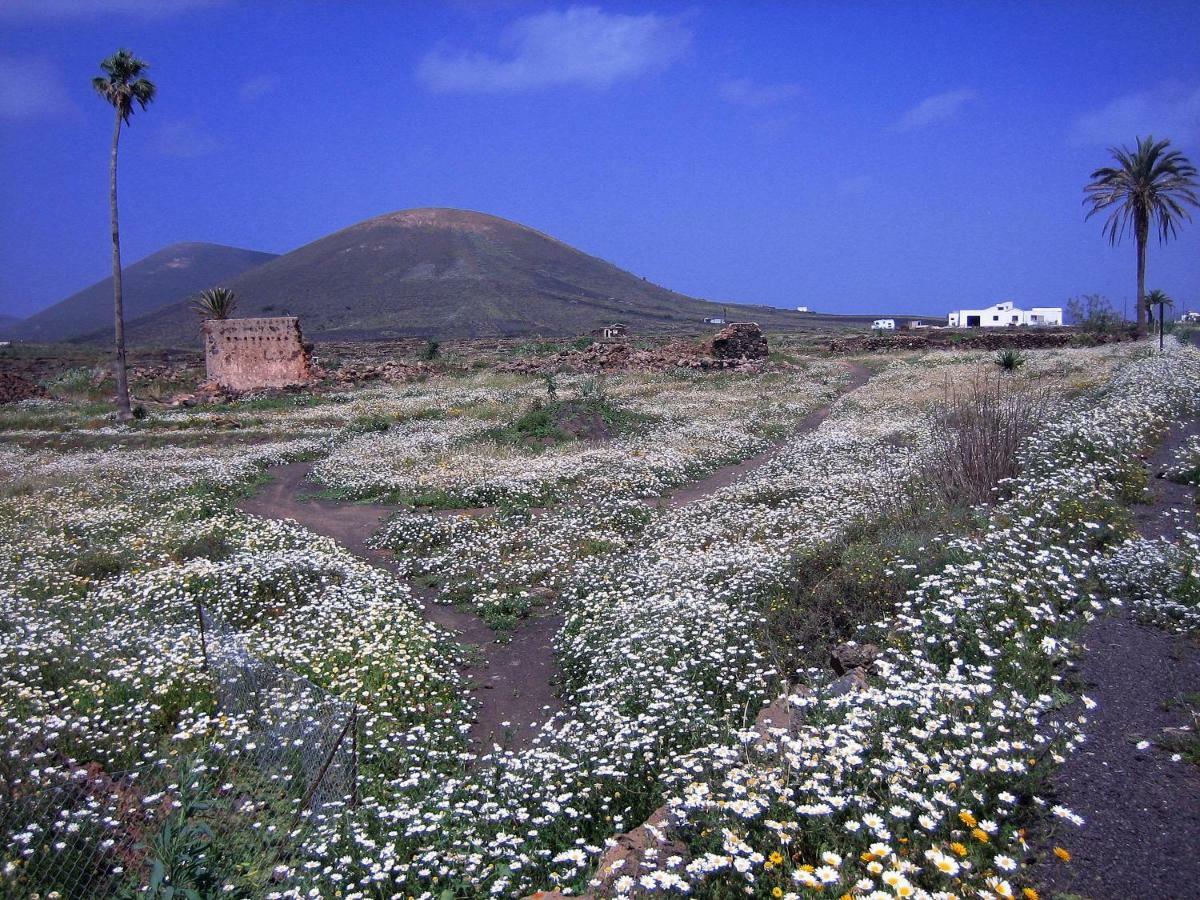 Castillo Lanzarote Villa Winni - Luxury Villa - Pet Friendly With Heated Pool La Asomada  Luaran gambar