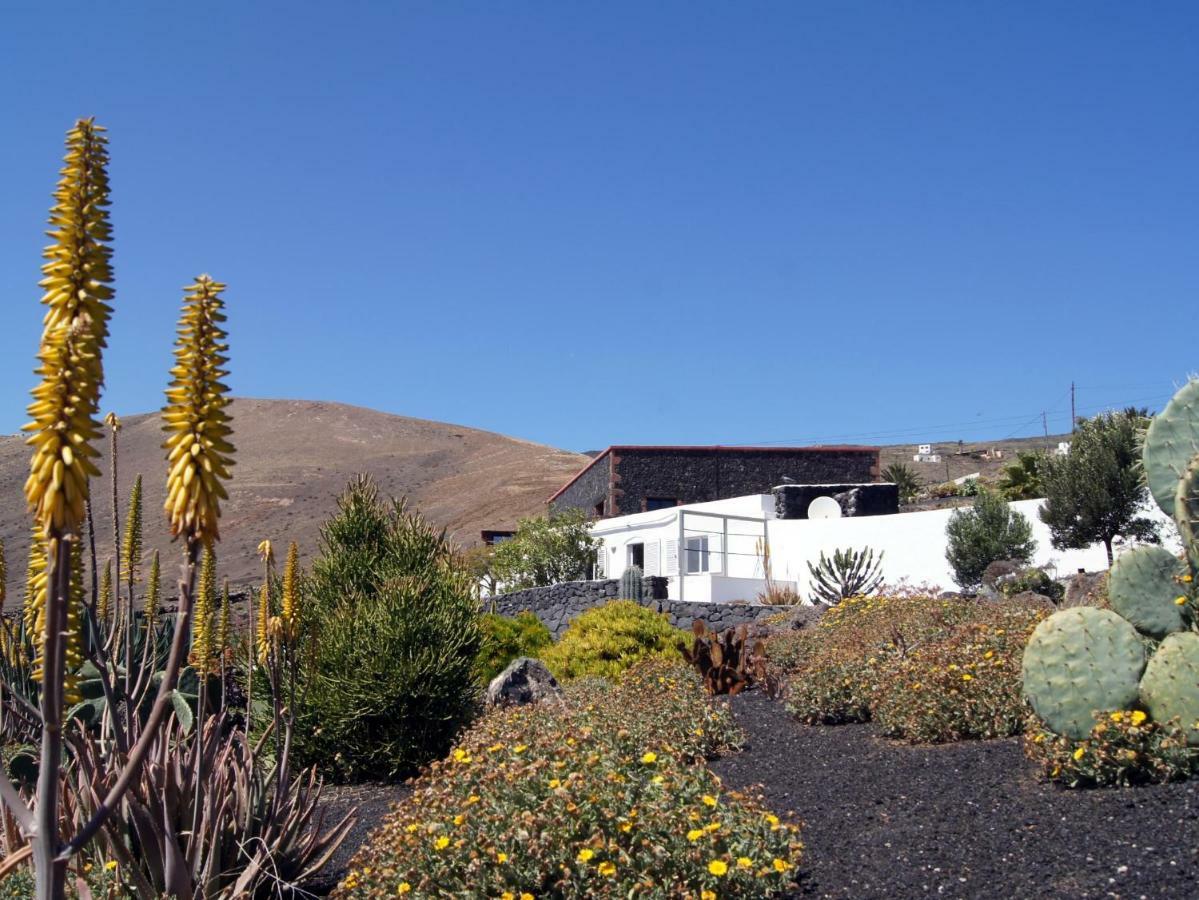 Castillo Lanzarote Villa Winni - Luxury Villa - Pet Friendly With Heated Pool La Asomada  Luaran gambar