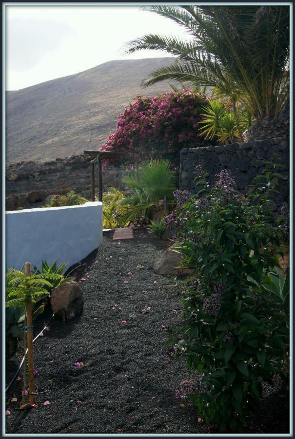 Castillo Lanzarote Villa Winni - Luxury Villa - Pet Friendly With Heated Pool La Asomada  Luaran gambar