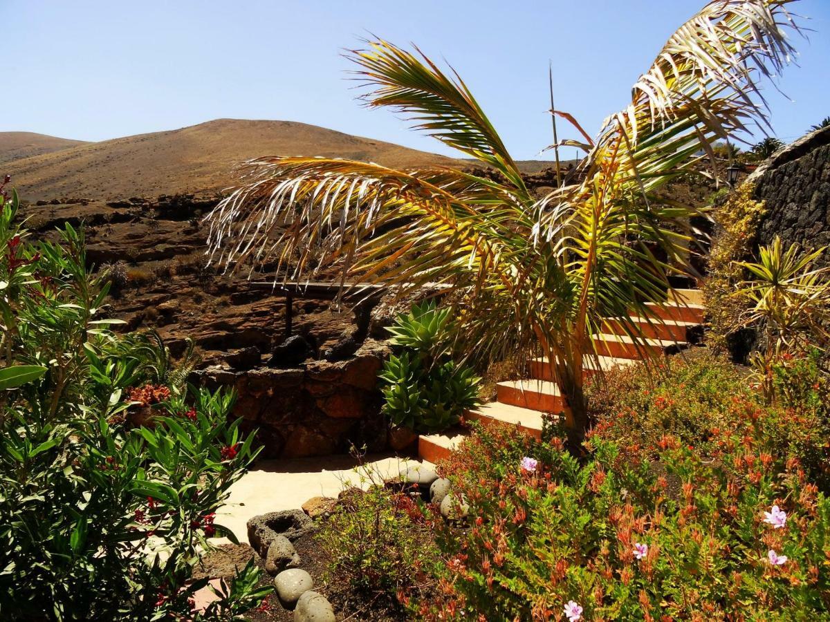 Castillo Lanzarote Villa Winni - Luxury Villa - Pet Friendly With Heated Pool La Asomada  Luaran gambar